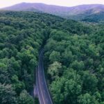 State of Virginia Receives $6.6 Million for Forest Projects